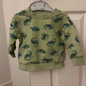 Hanna Andersson Green Dinosaur Baby Sweatshirt and Sweatpants Set